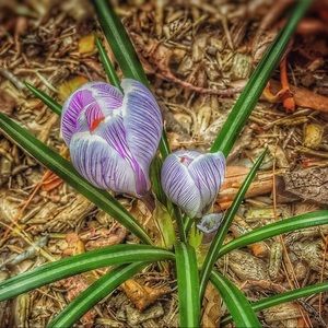 Meet your Posher, Elena